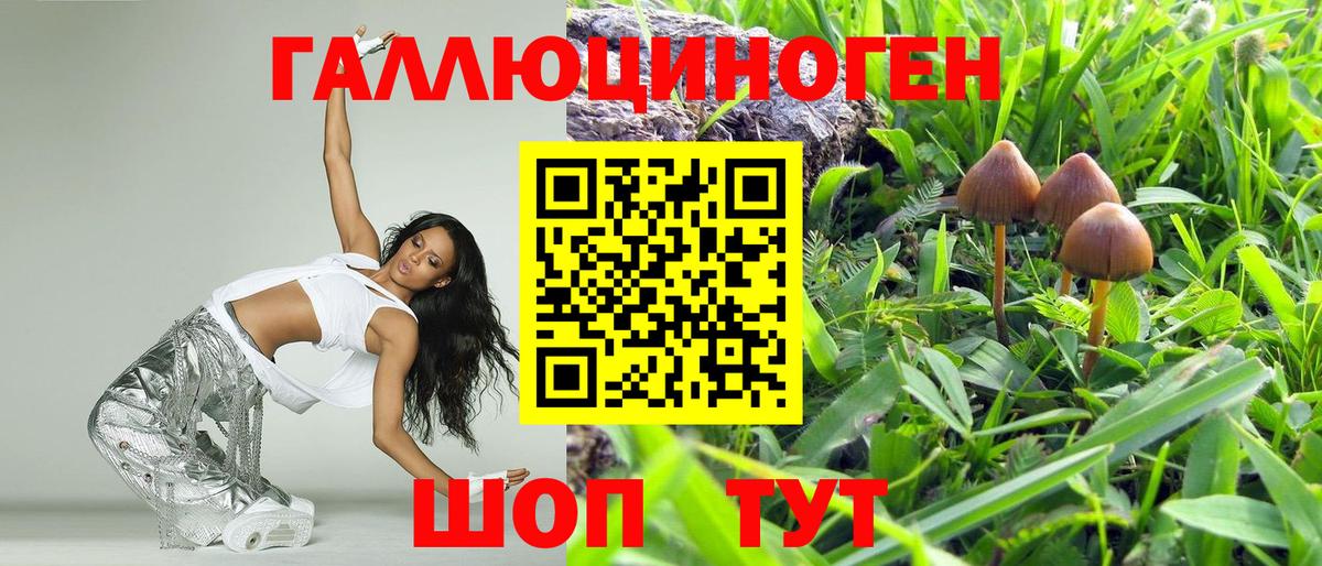 Псилоцибиновые грибы MAGIC MUSHROOMS Фрязино
