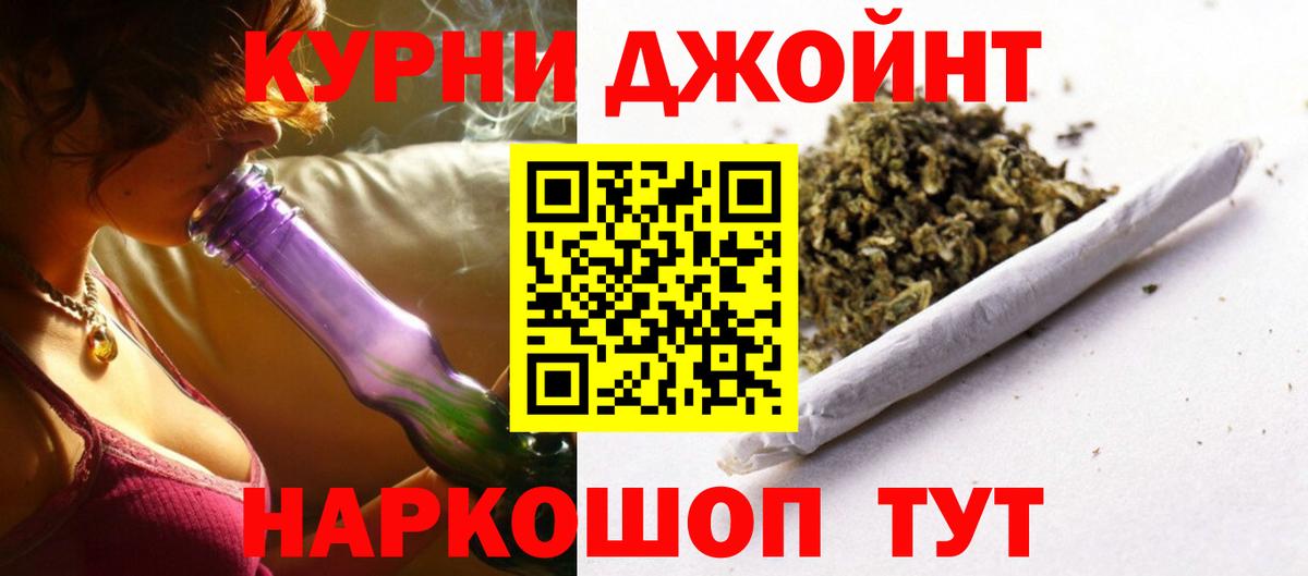 Канабис сатива Фрязино